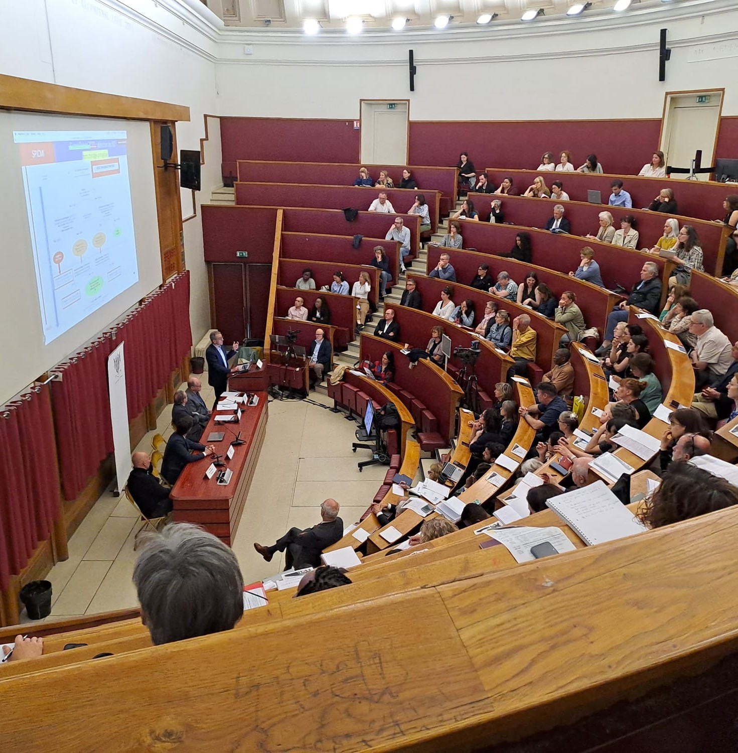 amphi